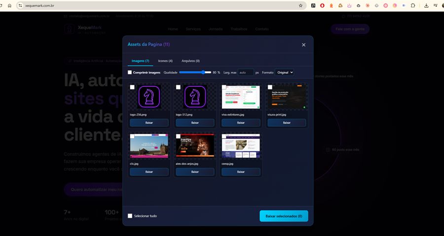 Scanify encontrando assets de um site